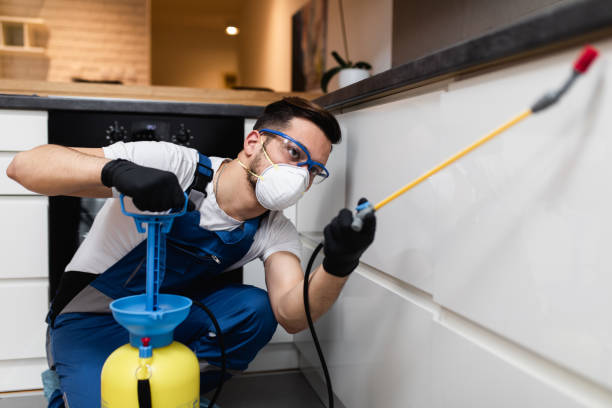 Sandy Springs, SC Pest Control Company