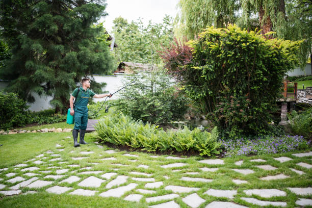 Best Pest Removal Services  in Sandy Springs, SC