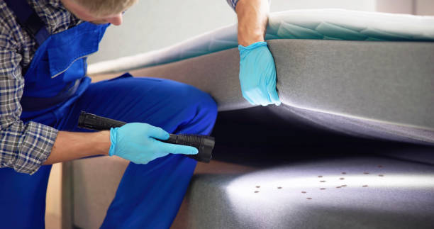 Best Pest Control Treatment  in Sandy Springs, SC