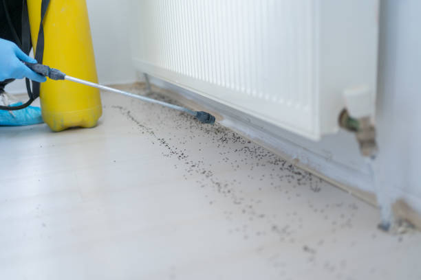  Sandy Springs, SC Pest Control Pros