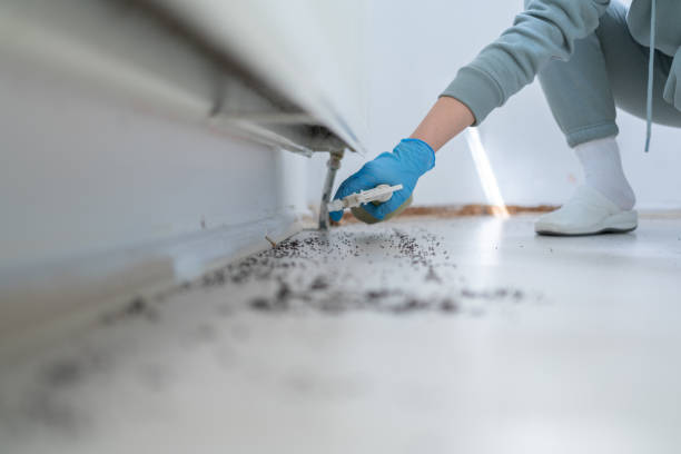 Best Pest Inspection Near Me  in Sandy Springs, SC