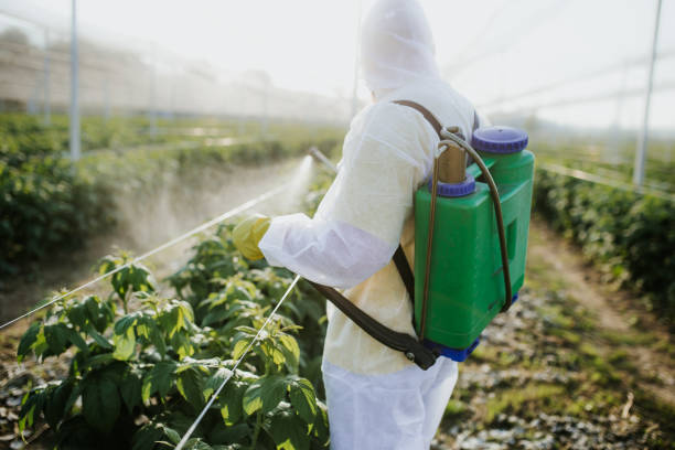 Best Exterminator Services  in Sandy Springs, SC
